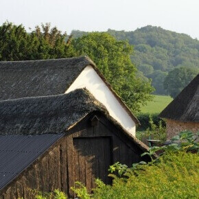 Red Doors Farm